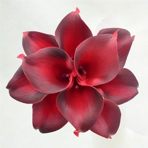 Calla Real Touch Dieprood 7 cm 37 cm per stuk