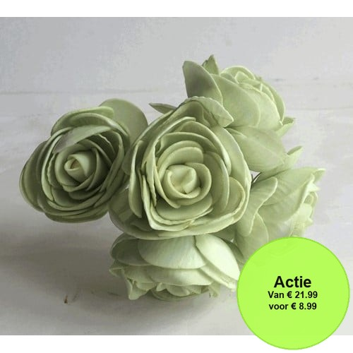 Ranonkels foam Cool Groen 6 cm doos 30 stuks