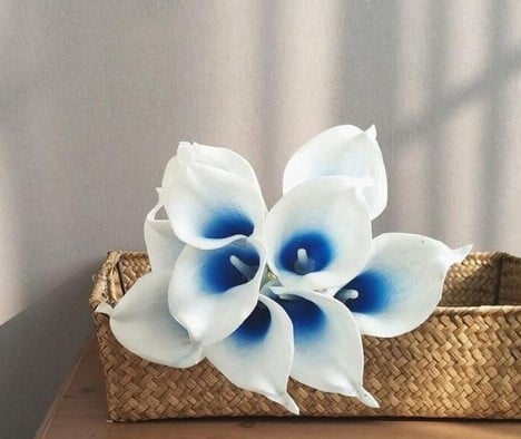 Calla Real Touch White Blue Core 7 cm 37 cm lang per stuk