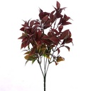 Ruscus Bush Rood Groen Corsagevuller 33 cm