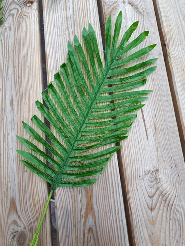 Varen Kunstblad Lichtgroen Botanical Style 63×23 cm per stuk