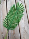 Varen Kunstblad Lichtgroen Botanical Style 63×23 cm per stuk