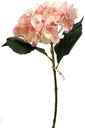 Hortensia Hydrangea Peach Zijdenbloem Single 46 cm