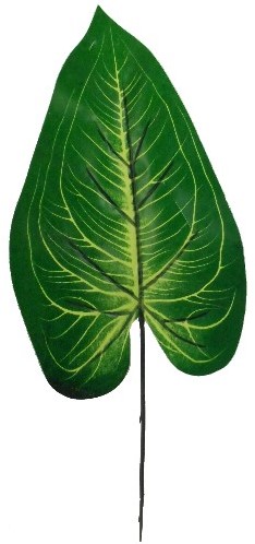 Bladeren Botanical Pakje 6 stuks