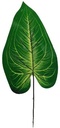 Bladeren Botanical Pakje 6 stuks
