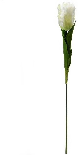 Parkiettulp Wit Zijden 56 cm per stuk