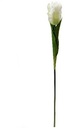 Parkiettulp Wit Zijden 56 cm per stuk