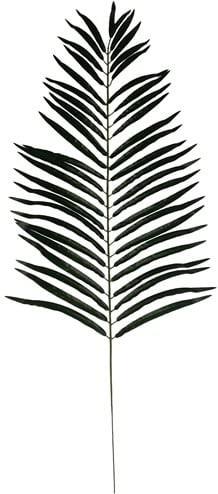 Giant Palmleaf Palmblad Groen 116 cm per stuk