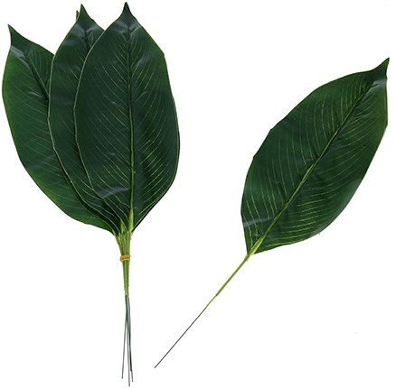 Aspidistrablad Bladeren Botanical Style Pak 6 stuks