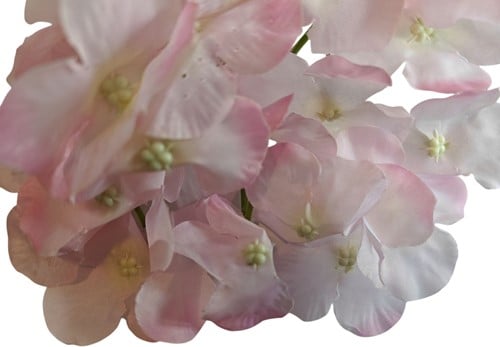 Hortensia Hydrangea Roze Zijdenbloem los 15×10 cm