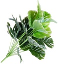 Monstera Blad Grootst Bont Zijdenbloem Botanical Style