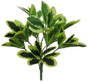 Euonymus Bush Variegated Arrangementvuller 35 cm
