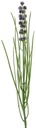 Grasbundel Blauw Bloeiend Zijdenbloemen 50 cm 