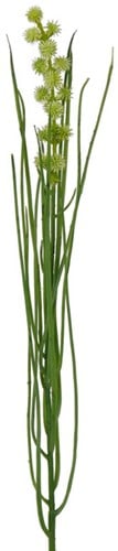 Grasbundel Groen Bloeiend Zijdenbloemen 50 cm 