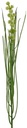 Grasbundel Groen Bloeiend Zijdenbloemen 50 cm 