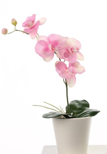 Orchidee Phalaenopsis Roze Zijden plant blad en wortel 44 cm 1 tak 4 bloemen