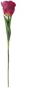 Parkiettulp Rood Zijden 56 cm per stuk