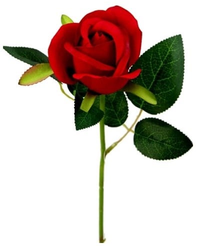 Zijden Roos Valentijnroos Single Short Stem Rosebud Rood met Blad per stuk