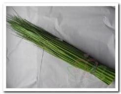 Grasbundel Berengras Zijdenbloemen 65 cm