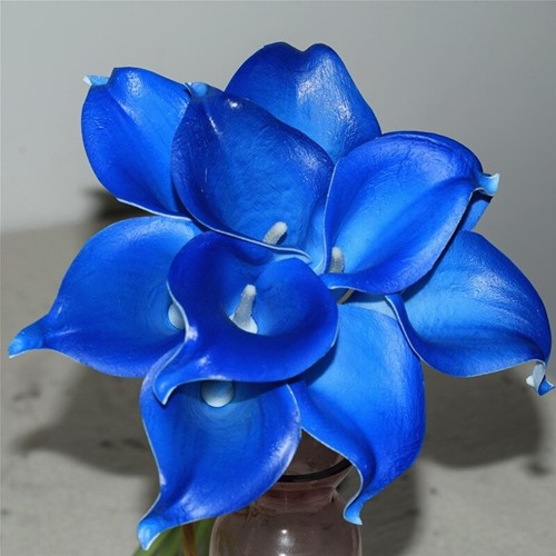 Calla Real Touch Licht Blue 7 cm 37 cm lang per stuk