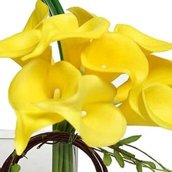 Calla Real Touch Yellow 7 cm 37 cm lang per stuk