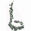 Eucalyptus Slinger Guirlande 180 cm
