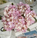 Hortensia Hydrangea Bundel Mauve Creme Zijdenbloem 6 takken ca. 30 cm