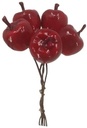 Appeltjes Rood 2 cm zak 20 stuks