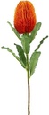 Zijden Bloem Large Banksia Orange Exotic 65 cm