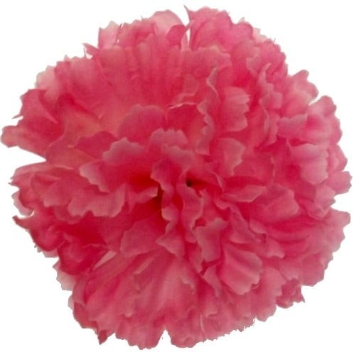 Anjerpick Roze Zijdenbloem per stuk
