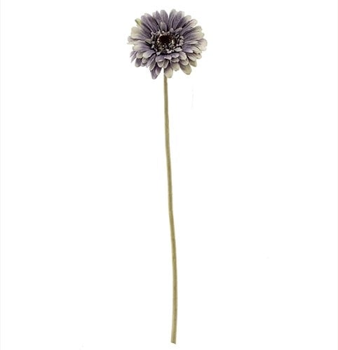 Gerbera Creme Zijdenbloem 53 cm per stuk