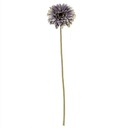 Gerbera Creme Zijdenbloem 53 cm per stuk