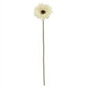 Gerbera 53 cm Creme Zijden bloemen / st 