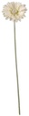 Gerbera 54 cm Creme Zijden bloemen / st 