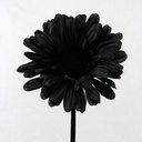 Gerbera Zwart Zijdenbloem 54 cm per stuk