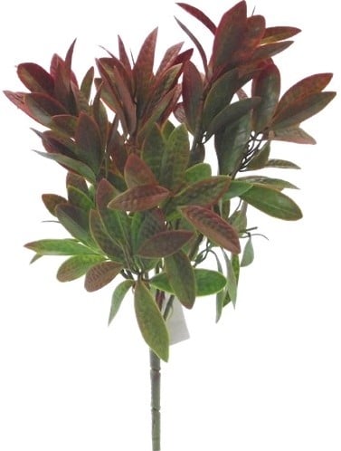 Gekleurd Blad Bay Leaf Bush Groen/Bruin 33 cm