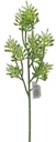 Corsagevuller Plastic Berry White Green 38 cm