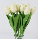 Tulpen Creme Real Touch Foam 33 cm Bundel ca. 10 stuks