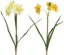 Narcis Zijdenbloem triple bush Wit per stuk