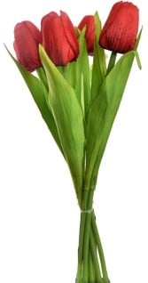 Tulpen Rood Zijden Merk: PURE 35 cm Bundel 7 stuks