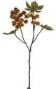 Ricinus Castor Oil spray dry colour Orange Zijden 43 cm per stuk