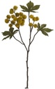 Ricinus Castor Oil spray dry colour Mosterd Okergeel Zijden 43 cm per stuk