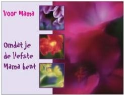 Kaart Omdat je de Liefste Mama Bent