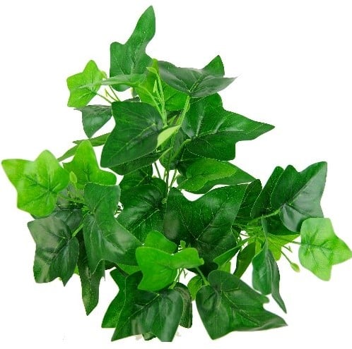 Hedera bundel Ivybush Groen 40 cm klimop per stuk