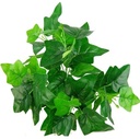 Hedera bundel Ivybush Groen 40 cm klimop per stuk