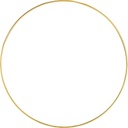 Metalen ring Goud gelakt 30 cm per stuk