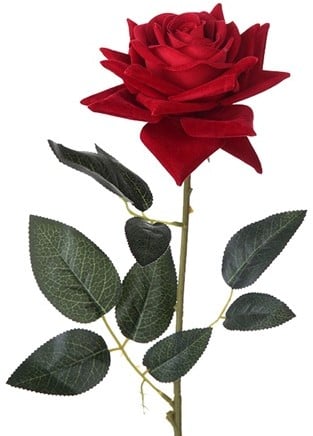 Zijden Roos Emperor Velvet Donkerrood 72 cm per stuk 