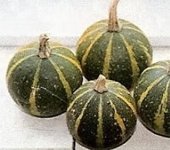 Ball Bicolor kalebas 50 zaden