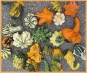 Gremlins mengsel kalebas 1000 zaden