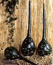 Dipper Lagenaria fleskalebas 50 zaden